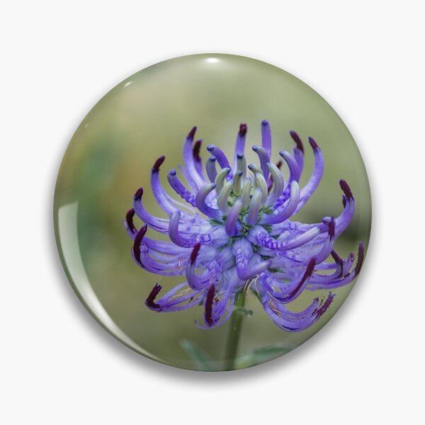 Item preview, Pride of Sussex designed and sold by Hilda Rytteke.