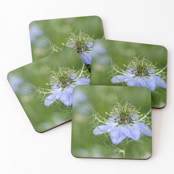 Item preview, Love-in-a-Mist designed and sold by Hilda Rytteke.
