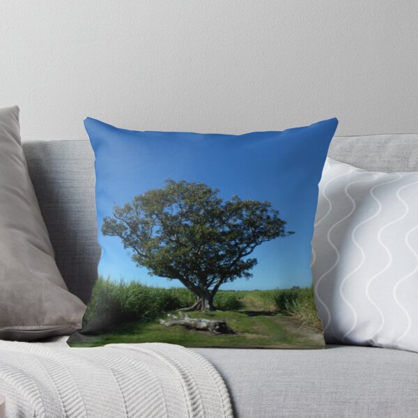 Item preview, Torn between two cane fields designed and sold by myraj.