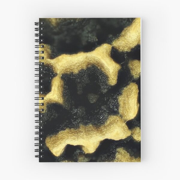 Item preview, Papaya seed under the microscope designed and sold by SDym Photography.