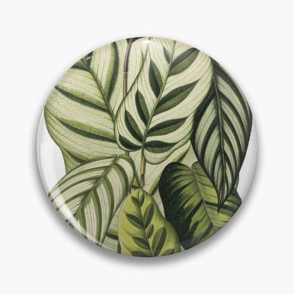 Item preview, Assorted Prayer plants - Belgique horticole, journal des jardins et des vergers - Botanical Illustration designed and sold by chimakingthings.