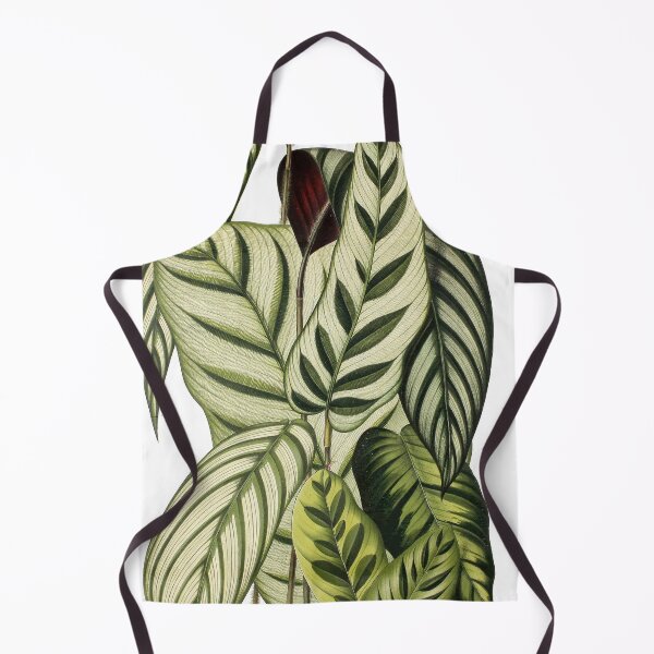 Item preview, Assorted Prayer plants - Belgique horticole, journal des jardins et des vergers - Botanical Illustration designed and sold by chimakingthings.