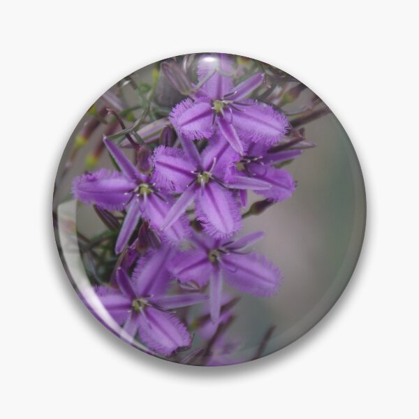 Item preview, Thysanotus patersonii (Twining Fringe-lily) designed and sold by lezvee.
