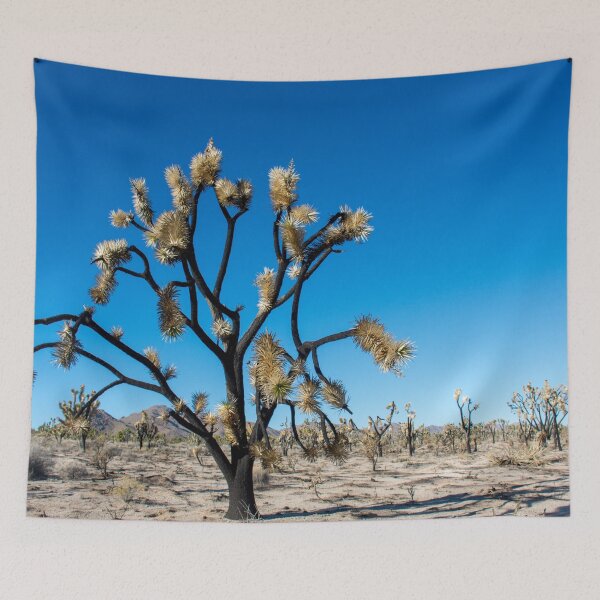 Item preview, Burnt Joshua Tree in the Mojave National Preserve designed and sold by Hilda Rytteke.