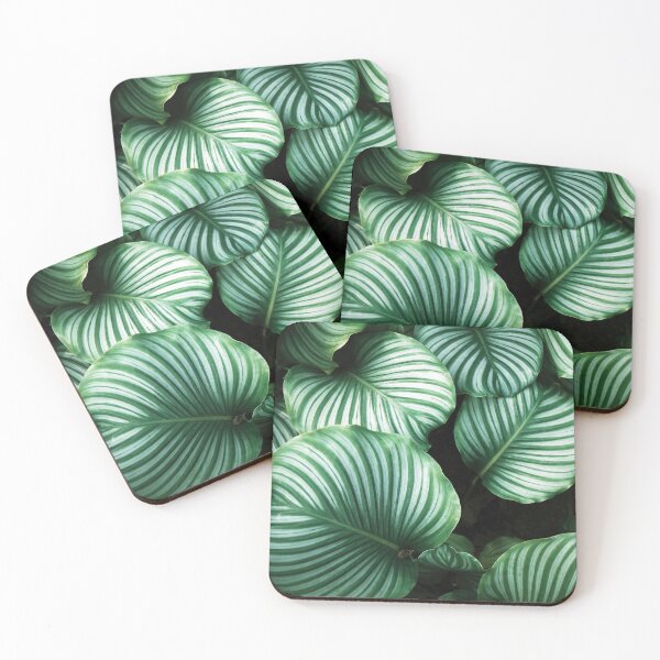 Item preview, Calathea Orbifolia designed and sold by redoARTstore.