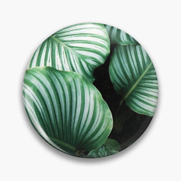Item preview, Calathea Orbifolia designed and sold by redoARTstore.