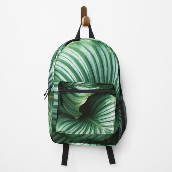 Item preview, Calathea Orbifolia designed and sold by redoARTstore.