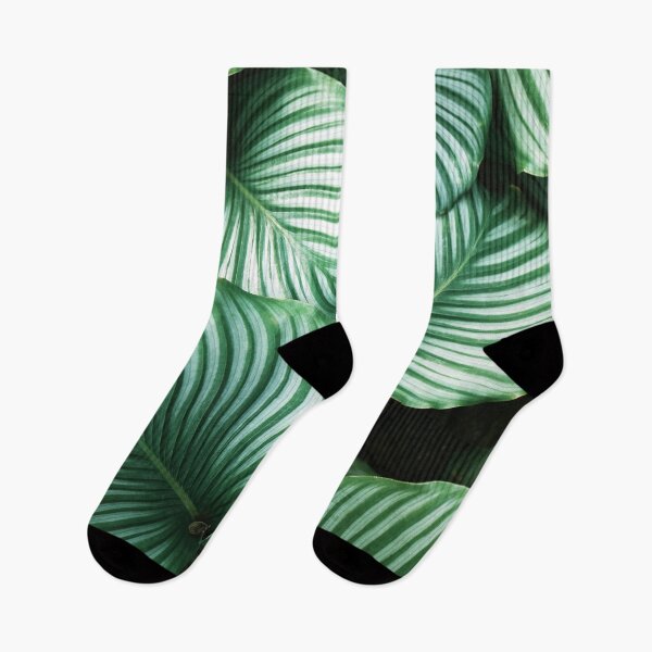 Item preview, Calathea Orbifolia designed and sold by redoARTstore.