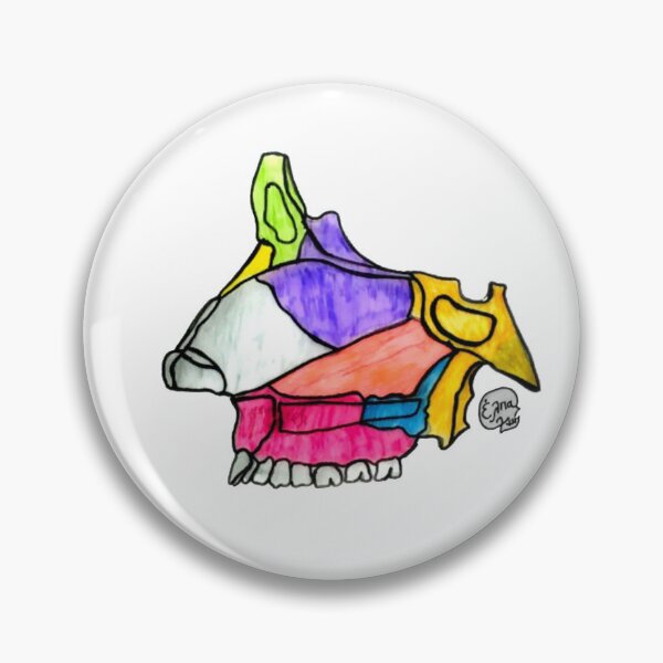 Item preview, Medial Wall of the Nasal Cavity designed and sold by Arte Del Cuerpo Humano.