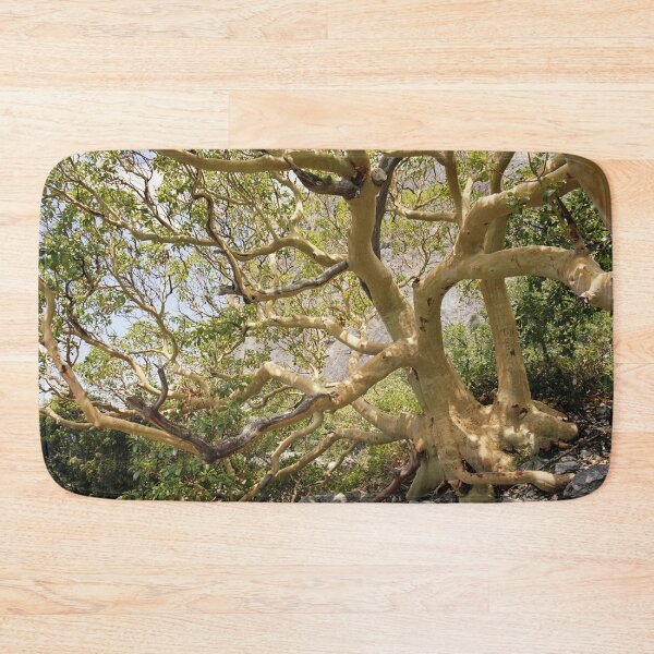 Item preview, old arbutus tree designed and sold by Mike Kiev art.