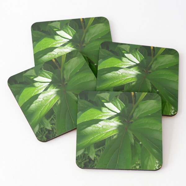 Item preview, Bright green leaves designed and sold by Athenacreations.