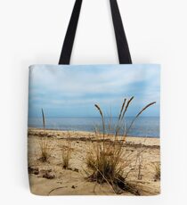 Sheldon Marsh - Springtime Beach Tote Bag