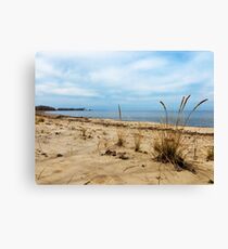 Sheldon Marsh - Springtime Beach Canvas Print