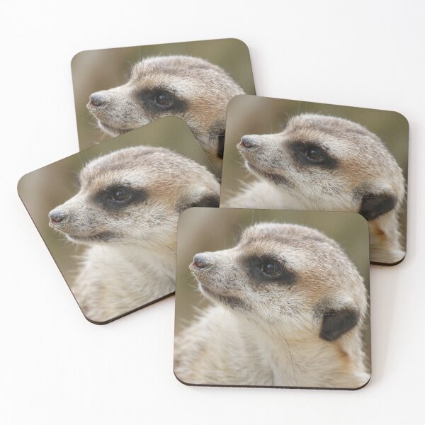 Item preview, Meerkat 046 designed and sold by JAMFoto.