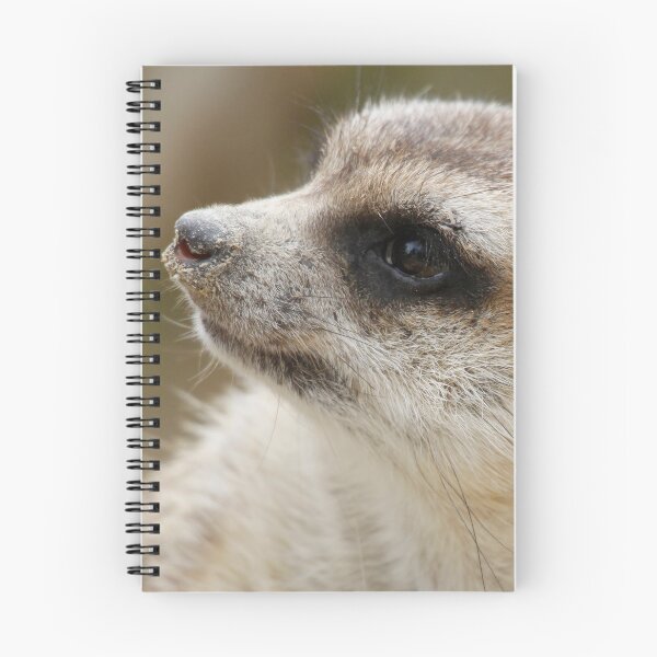 Item preview, Meerkat 046 designed and sold by JAMFoto.