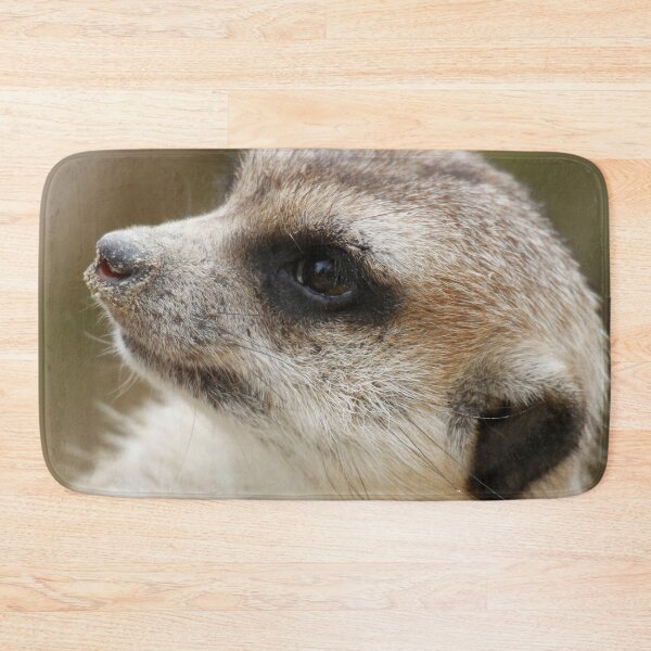 Item preview, Meerkat 046 designed and sold by JAMFoto.