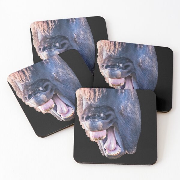 Item preview, Icelandic stallion laughs designed and sold by Ingo Gerlach.