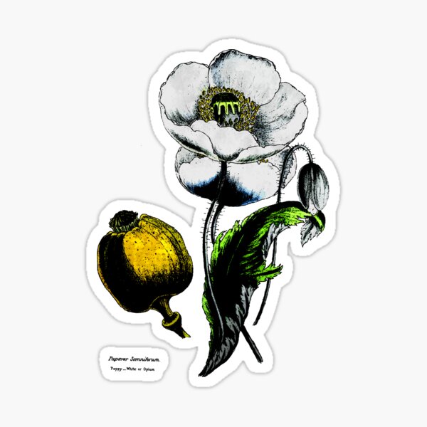 Opium Poppy Embroidered Patch – Deadly Nightshade Emporium