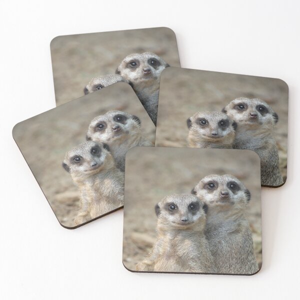 Item preview, Meerkat 047 designed and sold by JAMFoto.