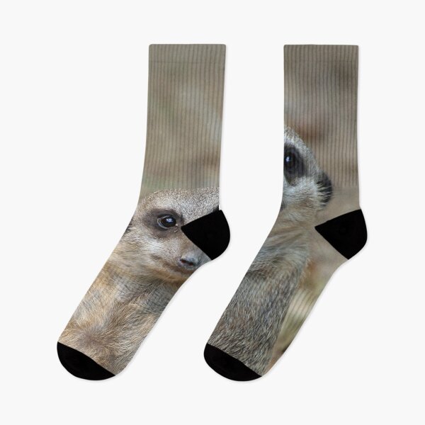 Item preview, Meerkat 047 designed and sold by JAMFoto.