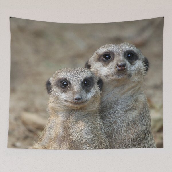 Item preview, Meerkat 047 designed and sold by JAMFoto.