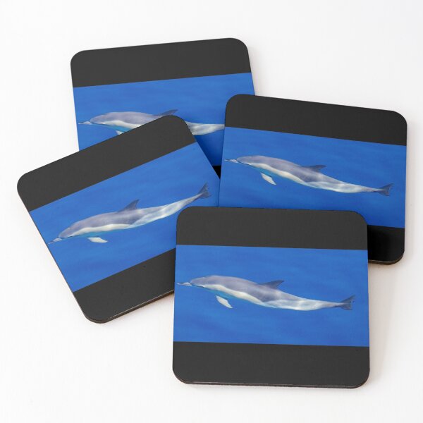 Item preview, Cute Common dolphin in the Atlantic ocean, underwater. designed and sold by AylaHarbich.