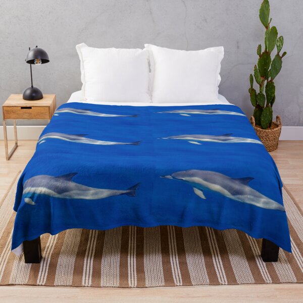 Item preview, Cute Common dolphin in the Atlantic ocean, underwater. designed and sold by AylaHarbich.