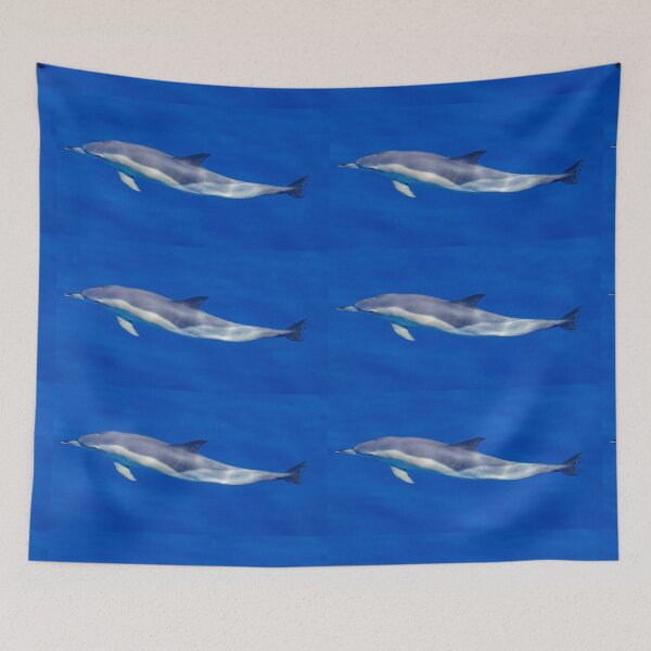 Item preview, Cute Common dolphin in the Atlantic ocean, underwater. designed and sold by AylaHarbich.