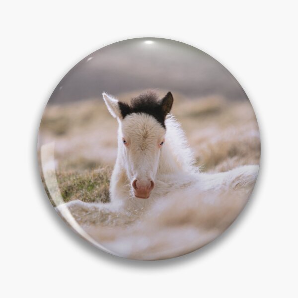 Item preview, Foals of 2021 designed and sold by Iceland-Effect.