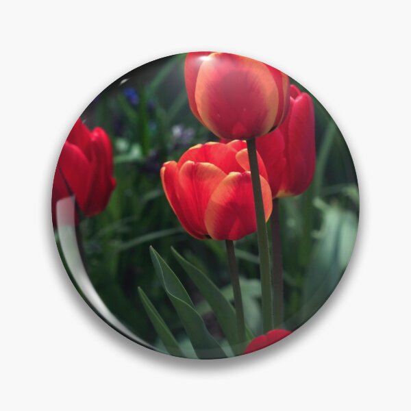 Item preview, Red tulips in spring garden designed and sold by olena2552.