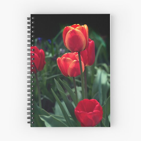 Item preview, Red tulips in spring garden designed and sold by olena2552.