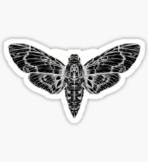 The Moth Sticker