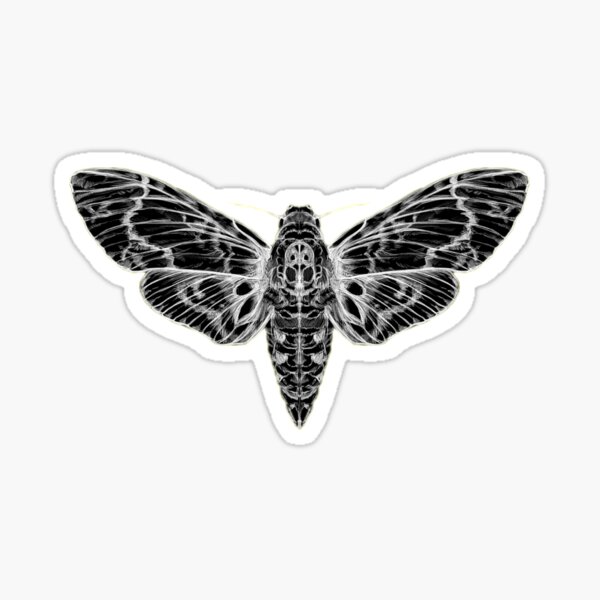 Deathhead Moth STICKER - Insect - Waterproof Art Sticker - Linocut  printmaking — Hannah Guthrie Designs