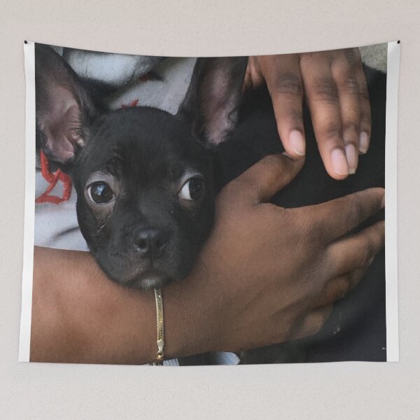 Item preview, KOFI THE DOG designed and sold by RetroPlaceee.