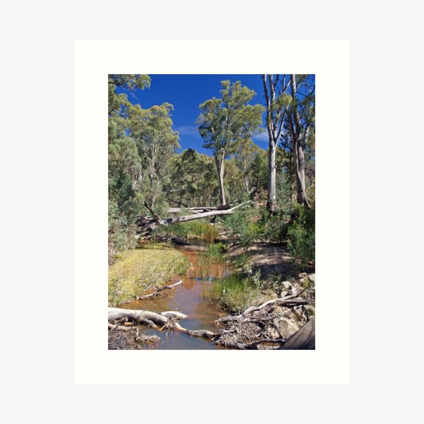 Item preview, Creek within Wilpena Pound, South Australia designed and sold by johnrf.
