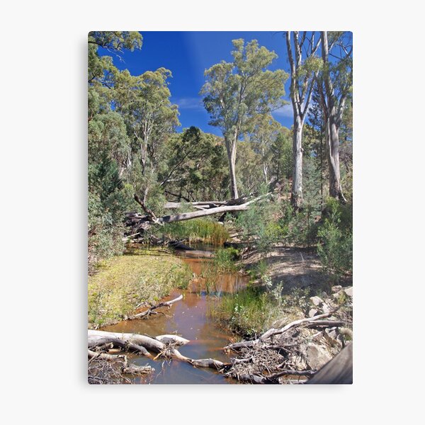Item preview, Creek within Wilpena Pound, South Australia designed and sold by johnrf.
