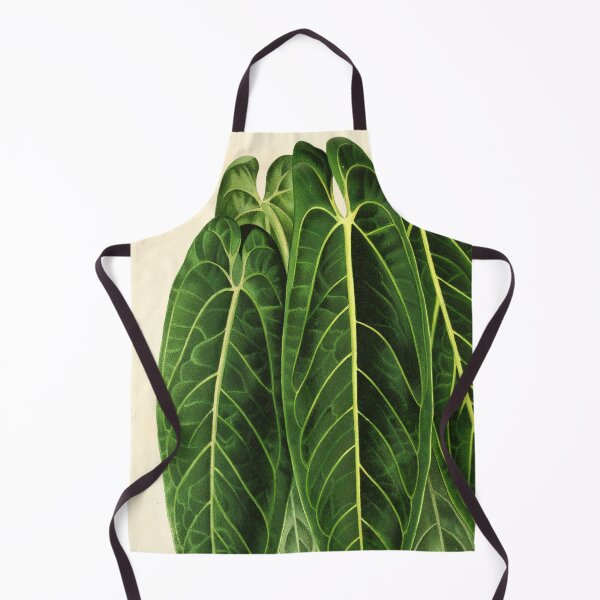 Artikelvorschau, Anthurium warocqueanum - L'illustration horticole - Botanische Illustration entworfen und verkauft von chimakingthings.