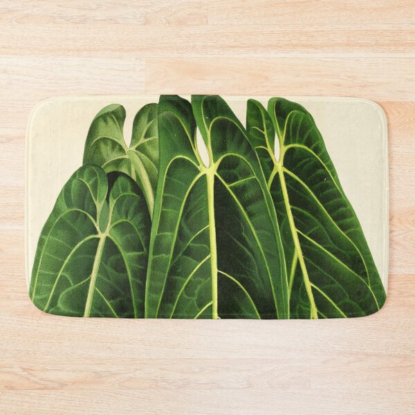 Item preview, Anthurium warocqueanum - L'illustration horticole - Botanical Illustration designed and sold by chimakingthings.