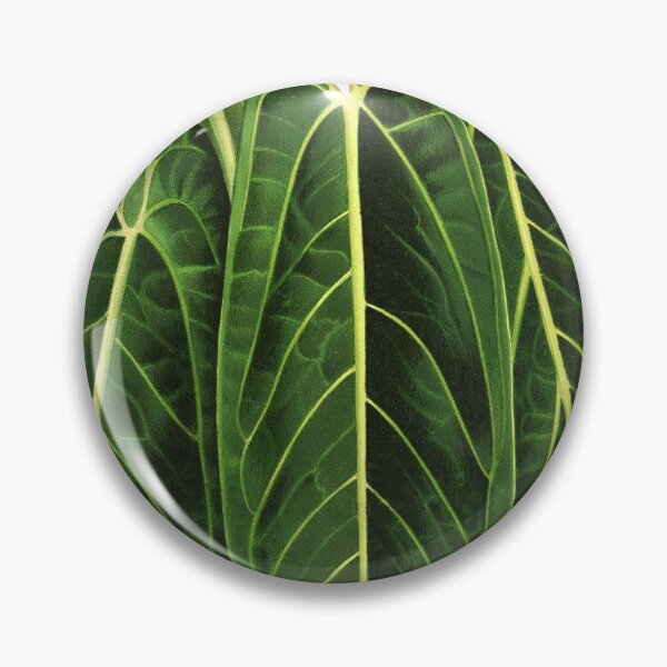 Item preview, Anthurium warocqueanum - Queen Anthurium designed and sold by chimakingthings.