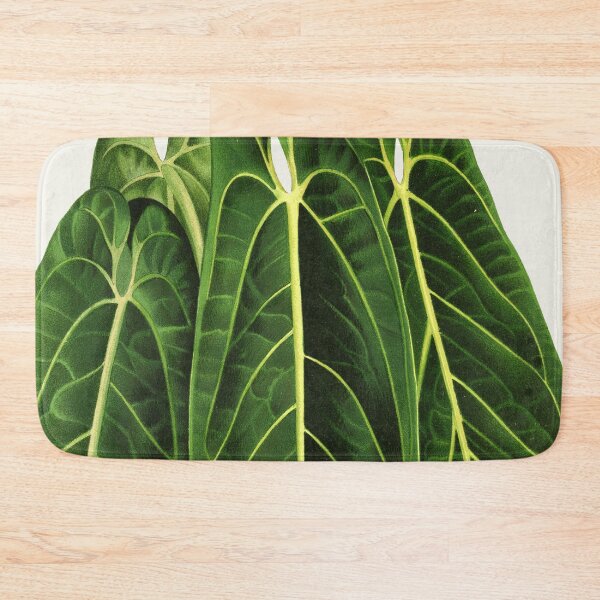 Item preview, Anthurium warocqueanum - Queen Anthurium designed and sold by chimakingthings.