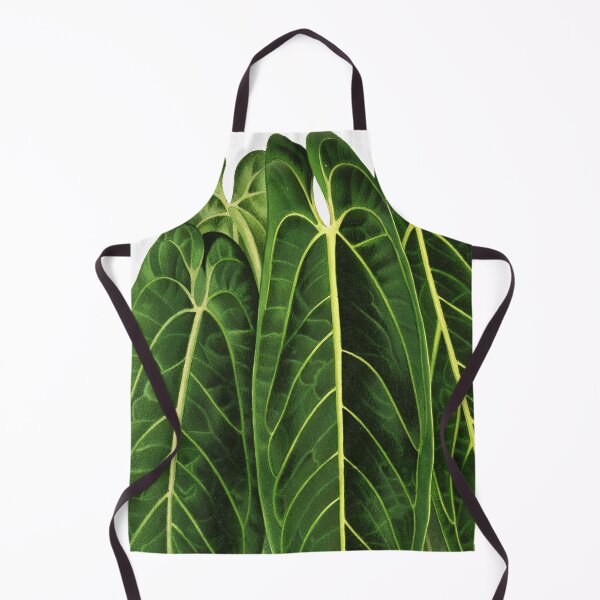 Item preview, Anthurium warocqueanum - Queen Anthurium designed and sold by chimakingthings.
