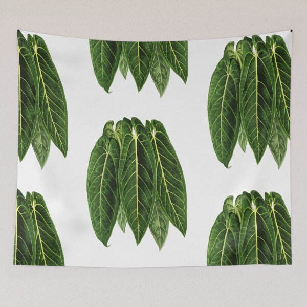 Item preview, Anthurium warocqueanum - Queen Anthurium designed and sold by chimakingthings.