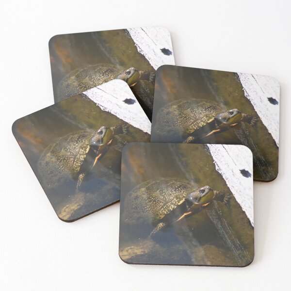 Item preview, Blanding's Turtle designed and sold by IanChilds.