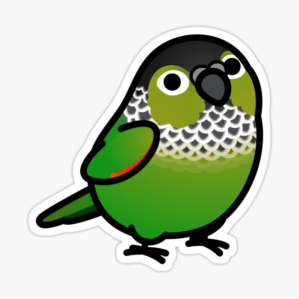 Chubby Black-capped Conure Sticker