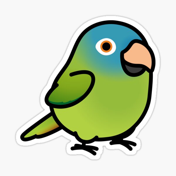 Vista previa del artículo con la obra «Conure gordito de corona azul», diseñado y vendido por birdhism.