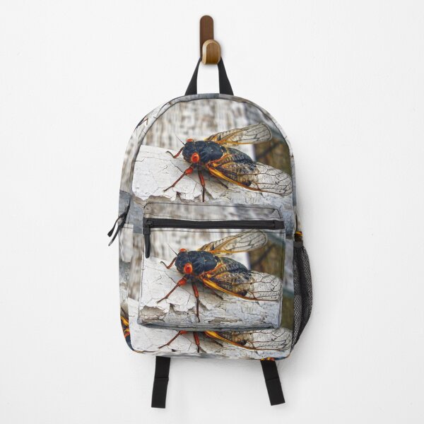 Item preview, Red Eyed Cicada designed and sold by Frankie Cat Photography.