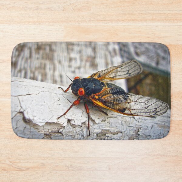 Item preview, Red Eyed Cicada designed and sold by Frankie Cat Photography.