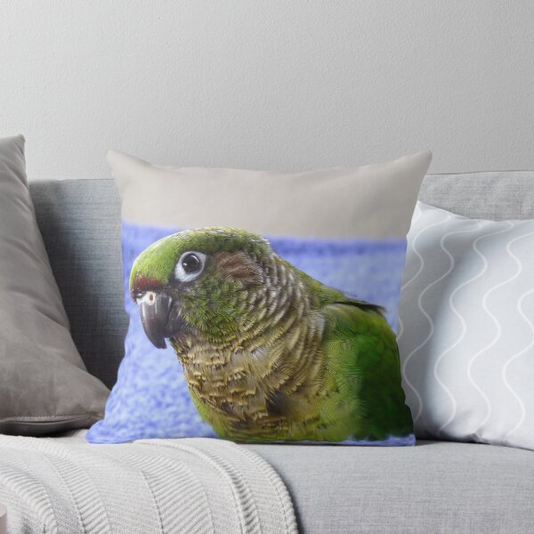 Item preview, mano levantada y una gran parte de nuestra familia. Siempre es divertido rodar una toalla suave y agradable durante el tiempo de juego ...
* ¿Utiliza un buen suavizante de telas? - Conure de vientre marrón *
! http: //ih2.redbubble.net/image.11424941.9 designed and sold by AndreaEL.
