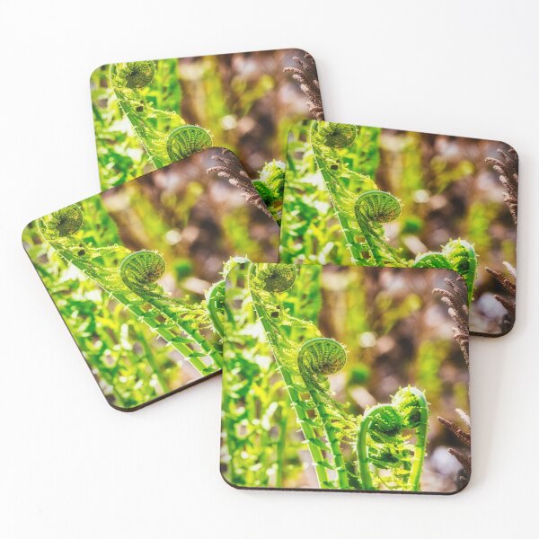Item preview, Fiddleheads Ferns designed and sold by Robert Alsop.