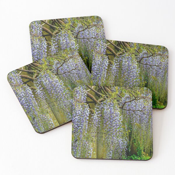 Item preview, Magnificent Wisteria designed and sold by Dalyndigital Photography.